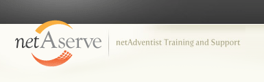 netAserve logo